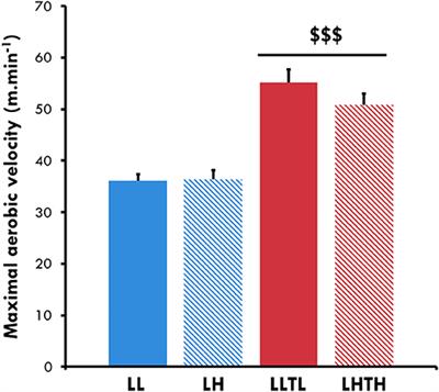 Endurance Is Improved in Female Rats After Living High-Training High Despite Alterations in Skeletal Muscle